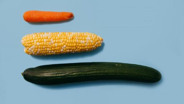 Kích thước khác nhau của một thành viên nam trên ví dụ về rau